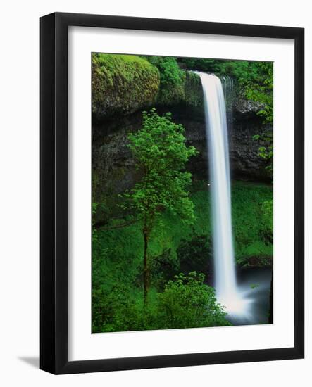 South Silver Falls-Darrell Gulin-Framed Photographic Print