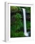 South Silver Falls-Darrell Gulin-Framed Photographic Print