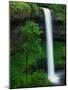 South Silver Falls-Darrell Gulin-Mounted Photographic Print