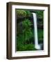 South Silver Falls-Darrell Gulin-Framed Photographic Print