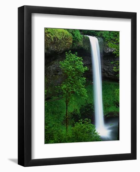 South Silver Falls-Darrell Gulin-Framed Photographic Print