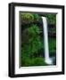 South Silver Falls-Darrell Gulin-Framed Photographic Print