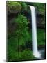 South Silver Falls-Darrell Gulin-Mounted Photographic Print