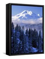 South Sister, Deschutes National Forest, Oregon, USA-Charles Gurche-Framed Stretched Canvas