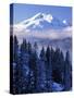 South Sister, Deschutes National Forest, Oregon, USA-Charles Gurche-Stretched Canvas