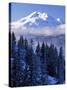 South Sister, Deschutes National Forest, Oregon, USA-Charles Gurche-Stretched Canvas