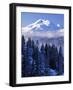 South Sister, Deschutes National Forest, Oregon, USA-Charles Gurche-Framed Photographic Print