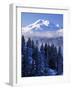 South Sister, Deschutes National Forest, Oregon, USA-Charles Gurche-Framed Photographic Print