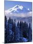 South Sister, Deschutes National Forest, Oregon, USA-Charles Gurche-Mounted Photographic Print