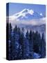 South Sister, Deschutes National Forest, Oregon, USA-Charles Gurche-Stretched Canvas