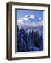 South Sister, Deschutes National Forest, Oregon, USA-Charles Gurche-Framed Photographic Print