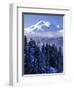 South Sister, Deschutes National Forest, Oregon, USA-Charles Gurche-Framed Photographic Print