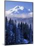 South Sister, Deschutes National Forest, Oregon, USA-Charles Gurche-Mounted Photographic Print