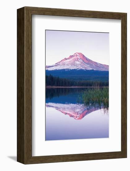 South Sister Mountain Oregon-null-Framed Art Print