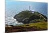 South Stack Lighthouse on the Welsh Island of Anglesey-Frances Gallogly-Mounted Photographic Print