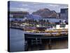 South Steyne Ferry and Harbourside in Darling Harbour, Central Business District, Sydney, New South-Richard Cummins-Stretched Canvas