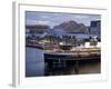 South Steyne Ferry and Harbourside in Darling Harbour, Central Business District, Sydney, New South-Richard Cummins-Framed Photographic Print