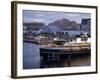 South Steyne Ferry and Harbourside in Darling Harbour, Central Business District, Sydney, New South-Richard Cummins-Framed Photographic Print