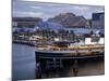 South Steyne Ferry and Harbourside in Darling Harbour, Central Business District, Sydney, New South-Richard Cummins-Mounted Photographic Print