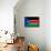 South Sudan Country National Flag Print Poster-null-Framed Poster displayed on a wall