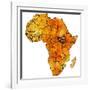 South Sudan on Actual Map of Africa-michal812-Framed Art Print