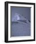 South Summit of Everest, Nepal-Michael Brown-Framed Photographic Print