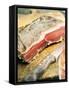 South Tyrolean Speck (Bacon)-Stefan Braun-Framed Stretched Canvas