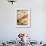 South Tyrolean Speck (Bacon)-Stefan Braun-Framed Photographic Print displayed on a wall