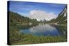 South Walls of the Wetterstein Massif with Wetterspitzen-Uwe Steffens-Stretched Canvas