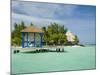 South Water Cayes Marine Reserve, Hopkins, Stann Creek District, Belize-Merrill Images-Mounted Photographic Print