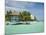 South Water Cayes Marine Reserve, Hopkins, Stann Creek District, Belize-Merrill Images-Mounted Photographic Print