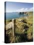 South West Devon Coastal Footpath Approaching Gammon Head, Prawle Point, South Hams, Devon, England-David Hughes-Stretched Canvas