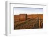 South West German Landscape with Bales of Straw in the Early Morning Light-Axel Brunst-Framed Photographic Print