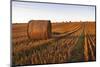 South West German Landscape with Bales of Straw in the Early Morning Light-Axel Brunst-Mounted Photographic Print