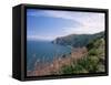 South West Peninsula Coast Path, Devon, England, United Kingdom-Chris Nicholson-Framed Stretched Canvas