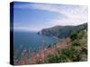 South West Peninsula Coast Path, Devon, England, United Kingdom-Chris Nicholson-Stretched Canvas