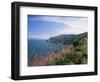 South West Peninsula Coast Path, Devon, England, United Kingdom-Chris Nicholson-Framed Photographic Print