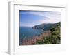 South West Peninsula Coast Path, Devon, England, United Kingdom-Chris Nicholson-Framed Photographic Print