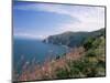 South West Peninsula Coast Path, Devon, England, United Kingdom-Chris Nicholson-Mounted Photographic Print