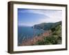 South West Peninsula Coast Path, Devon, England, United Kingdom-Chris Nicholson-Framed Photographic Print