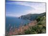 South West Peninsula Coast Path, Devon, England, United Kingdom-Chris Nicholson-Mounted Photographic Print