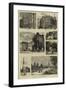 Southampton Illustrated-null-Framed Giclee Print