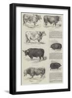 Southampton Meeting of the Royal Agricultural Society of England-null-Framed Giclee Print