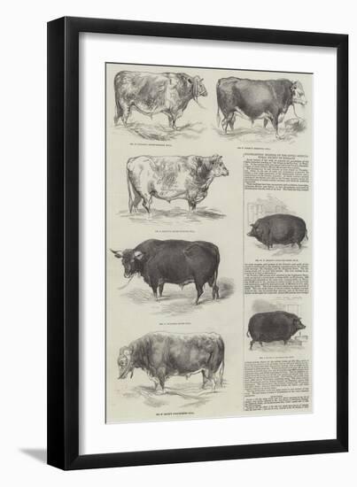 Southampton Meeting of the Royal Agricultural Society of England-null-Framed Giclee Print