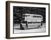 Southdown Omnibus-null-Framed Photographic Print