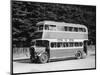 Southdown Omnibus-null-Mounted Photographic Print