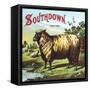 Southdown-null-Framed Stretched Canvas