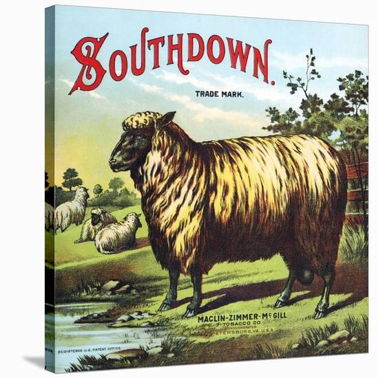 Southdown-null-Stretched Canvas