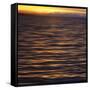 Southeast Alaska, Ketchikan Sunset-Savanah Stewart-Framed Stretched Canvas