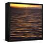 Southeast Alaska, Ketchikan Sunset-Savanah Stewart-Framed Stretched Canvas